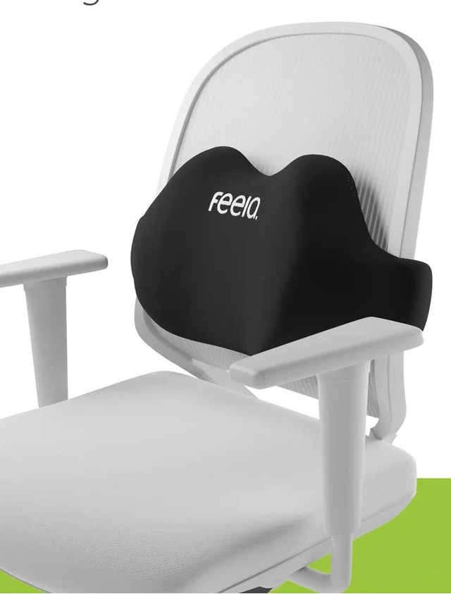 FEELA Pro Office – Ergonomisk lændestøtte til stol & kørestol